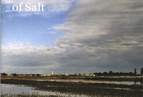 The Nin Saltworks, Life with a Grain of Salt