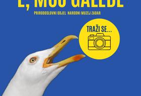 POZIV NA FOTO NATJEČAJ      